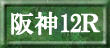 阪神12Ｒ